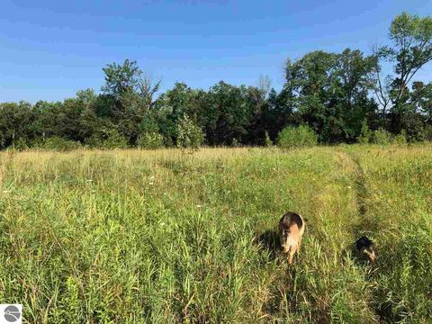 2670 Davis Rd, Au Gres, MI 48703 photo 4