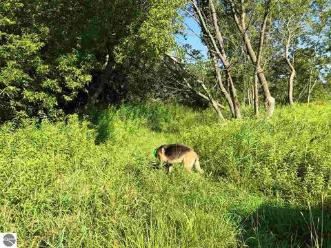 2670 Davis Rd, Au Gres, MI 48703 photo 2