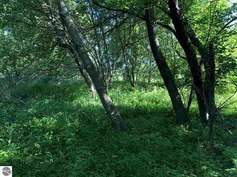2670 Davis Rd, Au Gres, MI 48703 photo 1