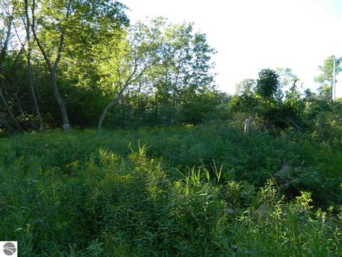 2670 Davis Rd, Au Gres, MI 48703 photo 6