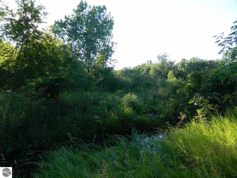 2670 Davis Rd, Au Gres, MI 48703 photo 13