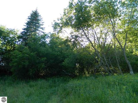 2670 Davis Rd, Au Gres, MI 48703 photo 11