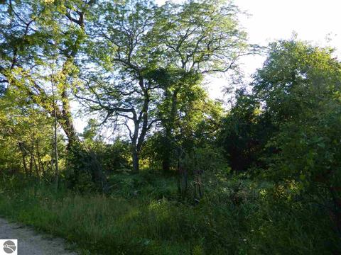 2670 Davis Rd, Au Gres, MI 48703 photo 15