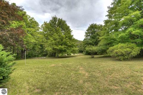 8968 E Lincoln Rd, Cedar, MI 49621 photo 8