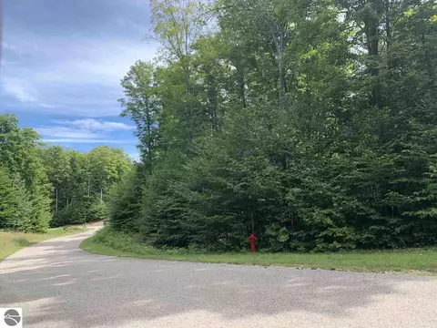 Unit 157 Falcons Rest, Bellaire, MI 49615