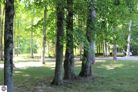 11222 Emerald Frst, Interlochen, MI 49643 photo 8
