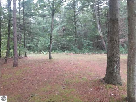 4603 E Michigan Ave, Au Gres, MI 48703 photo 5