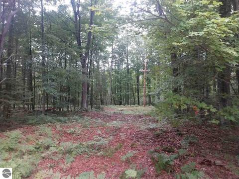 4603 E Michigan Ave, Au Gres, MI 48703 photo 16