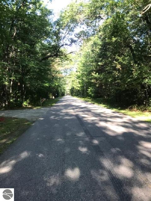 4603 E Michigan Ave, Au Gres, MI 48703 photo 3