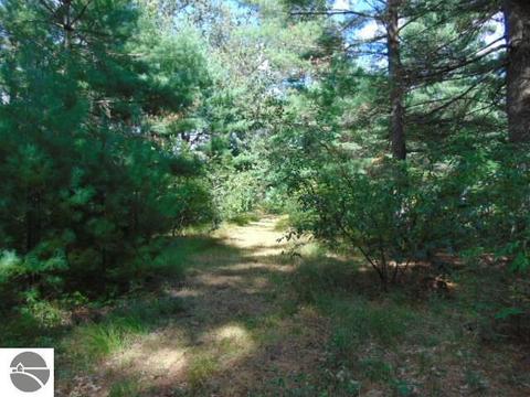 5277 E 28th St, White Cloud, MI 49349 photo 23