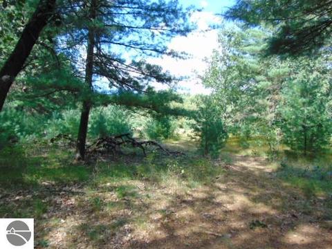 5277 E 28th St, White Cloud, MI 49349 photo 24