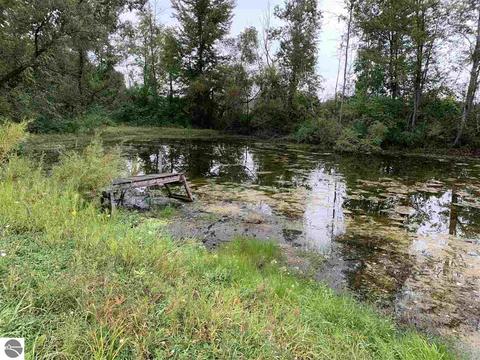 1465 Swenson Rd, Au Gres, MI 48703 photo 3