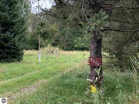 1465 Swenson Rd, Au Gres, MI 48703 photo 6