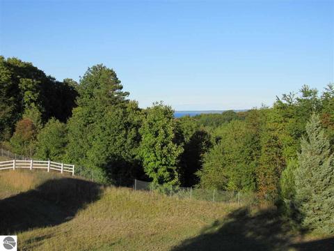 9169 E Hoxie Rd, Cedar, MI 49621 photo 50