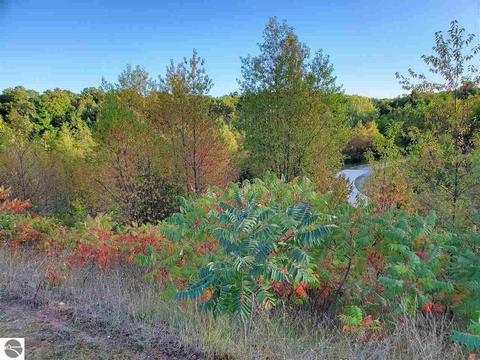 9169 E Hoxie Rd, Cedar, MI 49621 photo 53