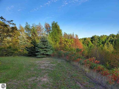 9169 E Hoxie Rd, Cedar, MI 49621 photo 52