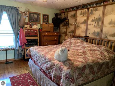 585 S Tonkey Rd, Au Gres, MI 48703 photo 8