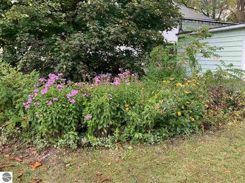 222 E Main St, Manton, MI 49663 photo 63