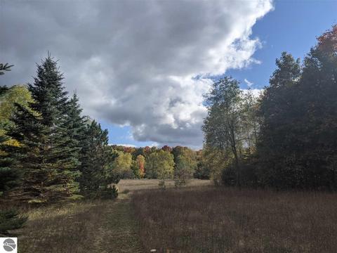 16295 Aletha, Interlochen, MI 49643 photo 58