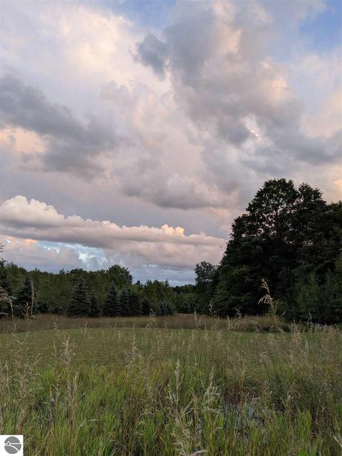 16295 Aletha, Interlochen, MI 49643 photo 30