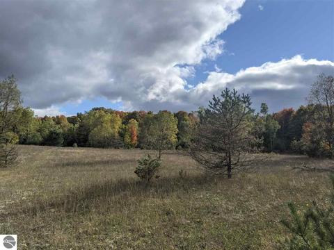 16295 Aletha, Interlochen, MI 49643 photo 35