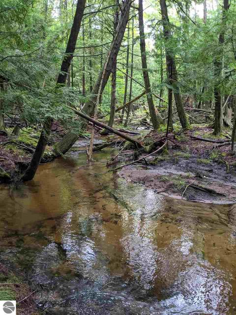 16295 Aletha, Interlochen, MI 49643 photo 34