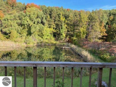 9032 E Lincoln Rd, Cedar, MI 49621 photo 12