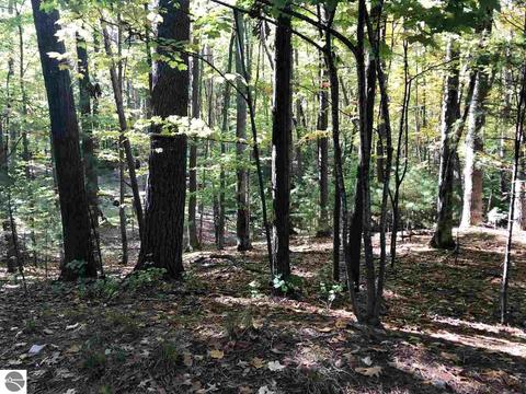 4293 Eagle Crest Dr, Williamsburg, MI 49690 photo 18