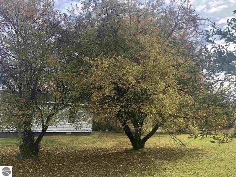 2231 E County Line Rd, Hale, MI 48739 photo 2