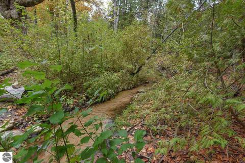 9215 E Lincoln Rd, Cedar, MI 49621 photo 11