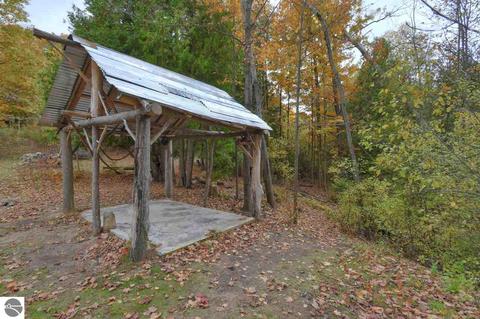 9215 E Lincoln Rd, Cedar, MI 49621 photo 8