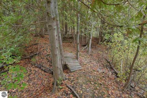 9215 E Lincoln Rd, Cedar, MI 49621 photo 10