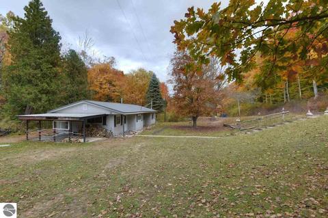9215 E Lincoln Rd, Cedar, MI 49621 photo 4