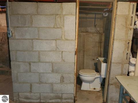 435 N Fourth St, Shepherd, MI 48883 photo 32