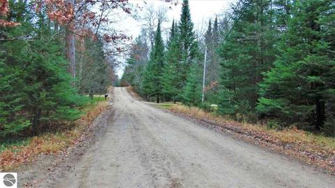 10761 Mohawk Trl, Roscommon, MI 48653 photo 24
