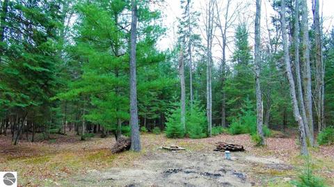 10761 Mohawk Trl, Roscommon, MI 48653 photo 6
