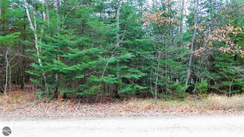 10761 Mohawk Trl, Roscommon, MI 48653 photo 25
