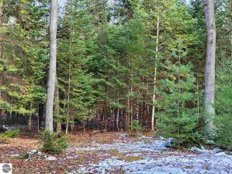10761 Mohawk Trl, Roscommon, MI 48653 photo 7