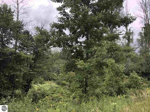5224 S Wise Rd, Shepherd, MI 48858 photo 3