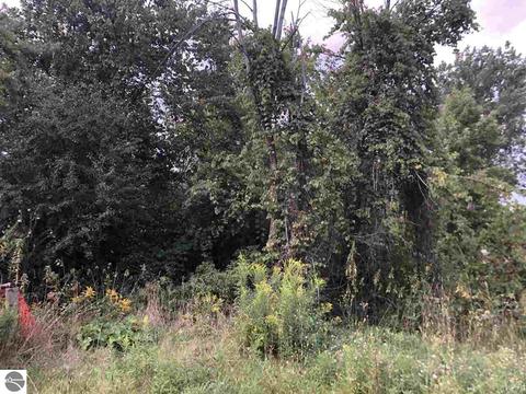 5224 S Wise Rd, Shepherd, MI 48858 photo 1