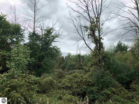 5224 S Wise Rd, Shepherd, MI 48858 photo 6