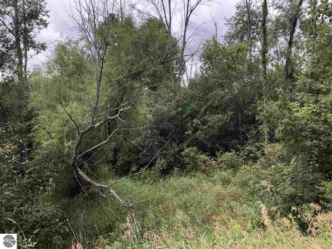 5224 S Wise Rd, Shepherd, MI 48858 photo 4