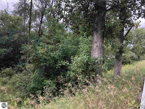5224 S Wise Rd, Shepherd, MI 48858 photo 5