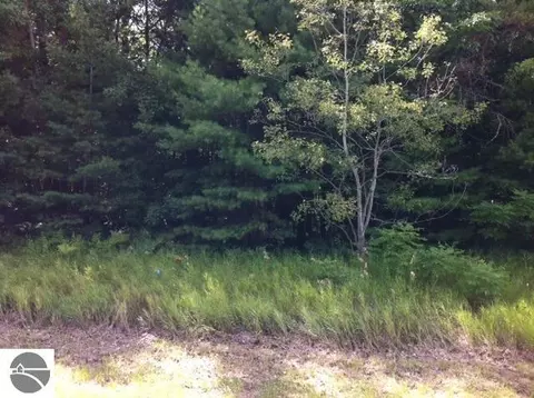 N/a S Huron Road, Au Gres, MI 48703 photo 3