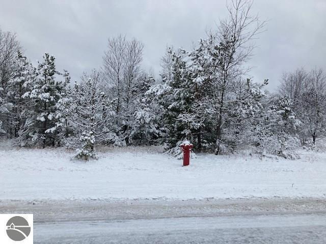  Johnson Road, Mancelona, MI 49659 photo 5