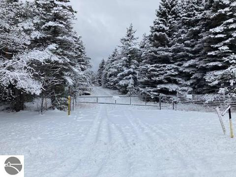 Johnson Road, Mancelona, MI 49659