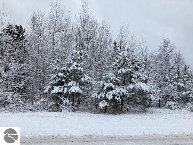  Johnson Road, Mancelona, MI 49659 photo 4