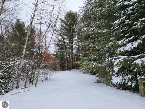 10659 Stephan Bridge Rd, Roscommon, MI 48653 photo 15