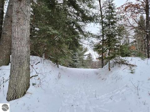 10659 Stephan Bridge Rd, Roscommon, MI 48653 photo 23