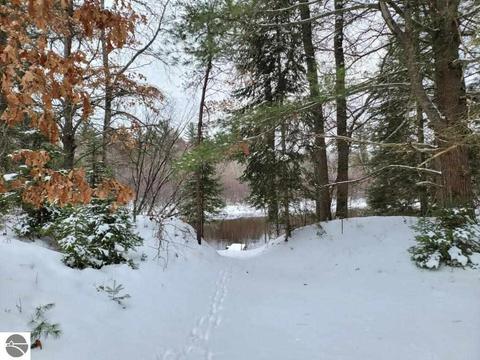 10659 Stephan Bridge Rd, Roscommon, MI 48653 photo 16
